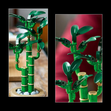 LEGO Botanical Collection (10344)