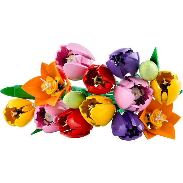 LEGO Botanical Collection (11501)