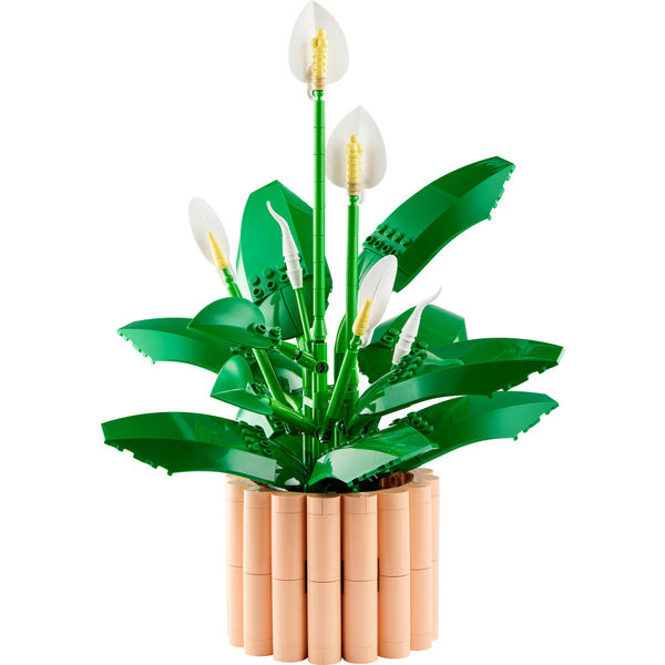 LEGO Botanical Collection (11504)