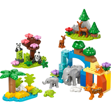 LEGO DUPLO (10446)