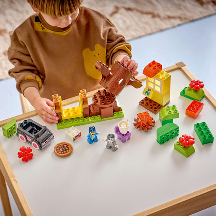 LEGO DUPLO (10469)