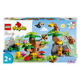 LEGO® DUPLO® - Dél-Amerika vadállatai (10973)