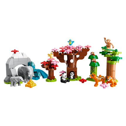 LEGO® DUPLO® - Ázsia vadállatai (10974)