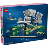 LEGO Family (41838)