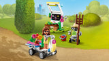 LEGO® Friends - Olivia virágoskertje (41425)