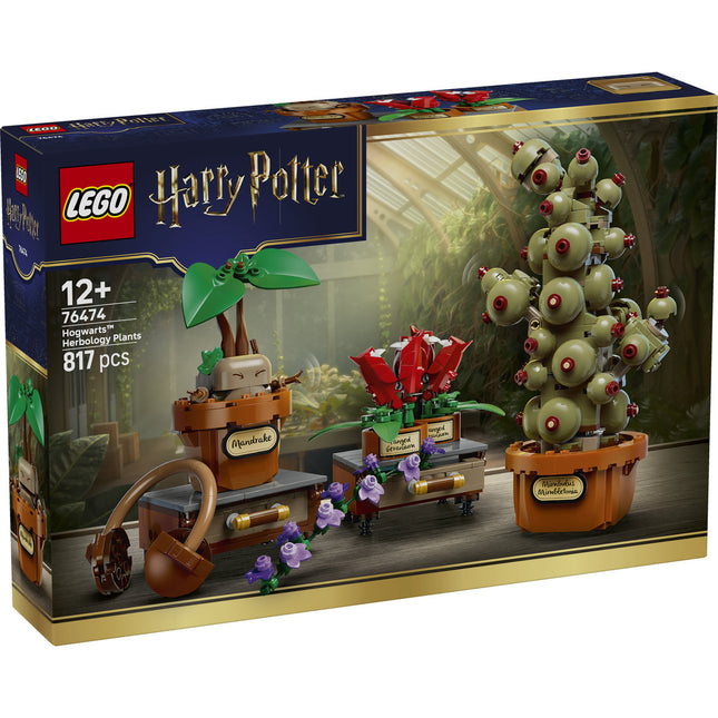 LEGO Harry Potter (76474)