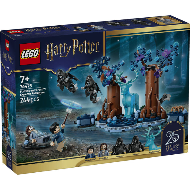 LEGO Harry Potter (76475)