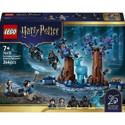LEGO Harry Potter (76475)