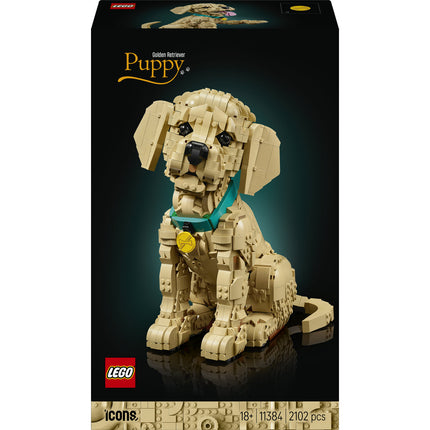 LEGO Icons (11384)