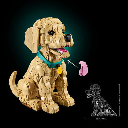 LEGO Icons (11384)