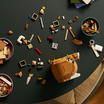 LEGO Ideas (21376)