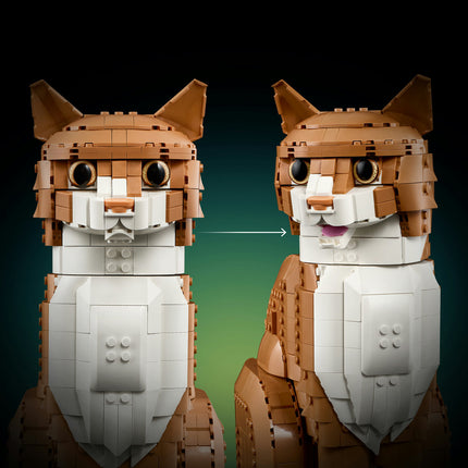 LEGO Ideas (21376)