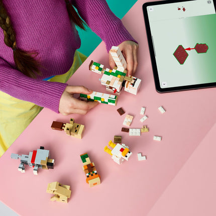 LEGO Minecraft (21592)