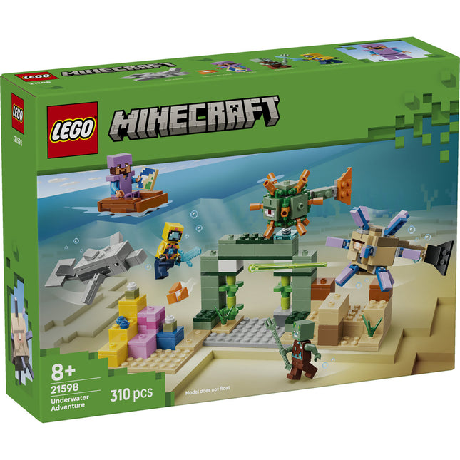 LEGO Minecraft (21598)
