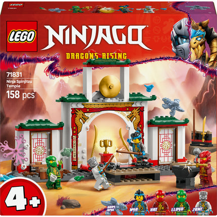 LEGO NINJAGO (71831)