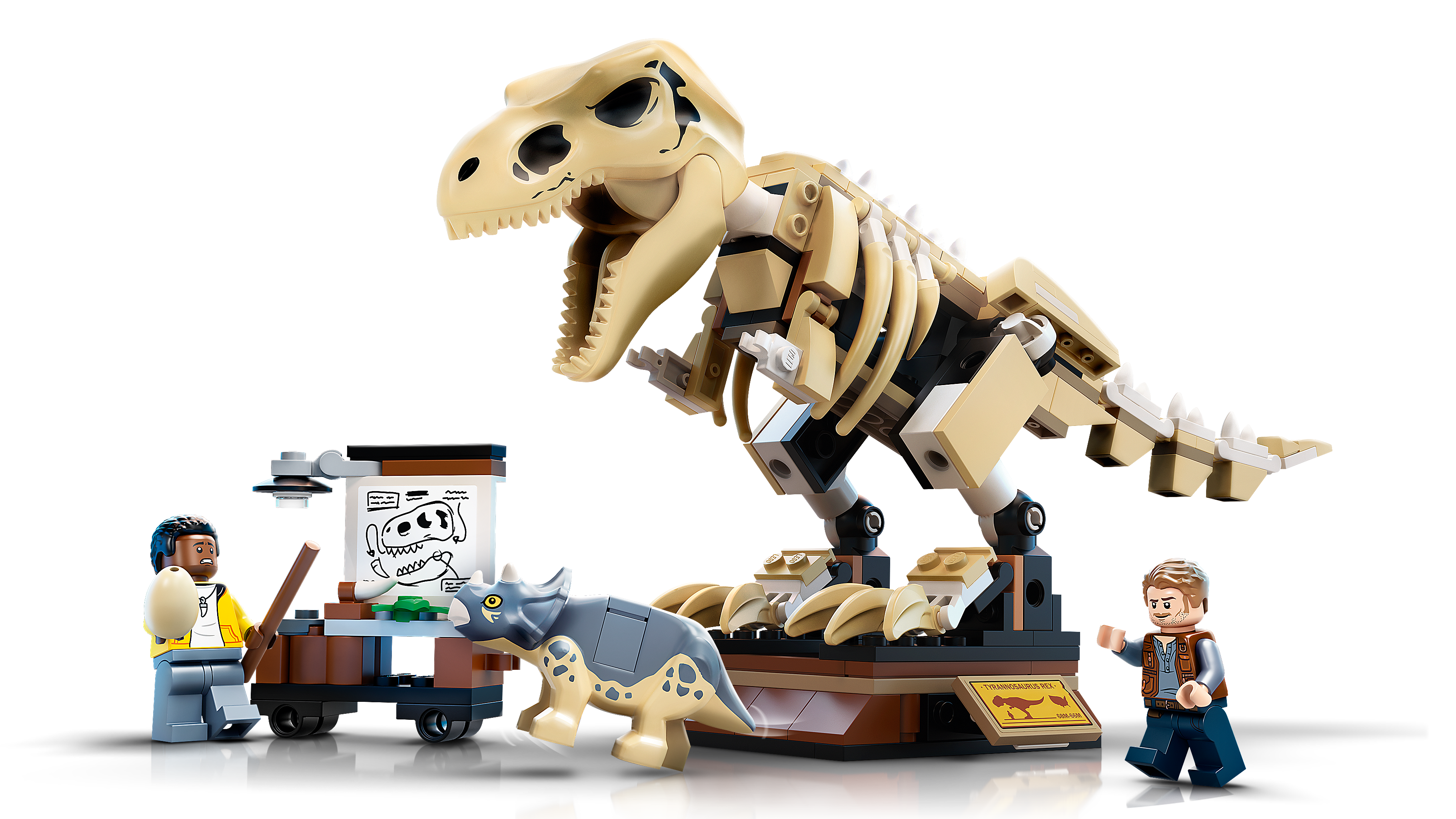 T. rex Dinosaur Fossil Exhibition
